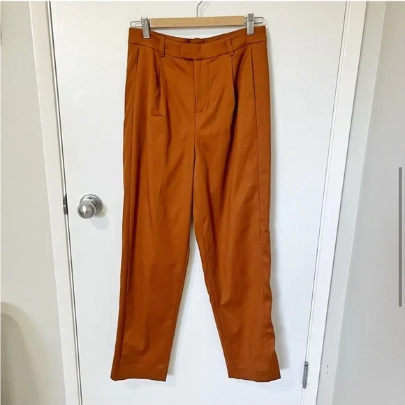 NWT Banana Republic x Harbison High Waist Pleated Safari Suit Pant Brown size 2 - Picture 6 of 16